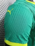2024-25 Senegal Away Player Version Soccer Jersey (带星)