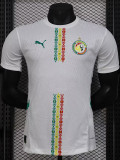 2024-25 Senegal Home Player Version Soccer Jersey