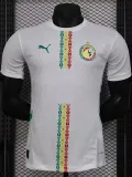 2024-25 Senegal Home Player Version Soccer Jersey (带星)