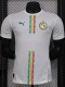 2024-25 Senegal Home Player Version Soccer Jersey