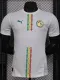2024-25 Senegal Home Player Version Soccer Jersey (带星)
