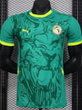 2024-25 Senegal Away Player Version Soccer Jersey