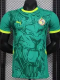 2024-25 Senegal Away Player Version Soccer Jersey (带星)