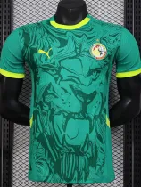 2024-25 Senegal Away Player Version Soccer Jersey (带星)