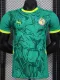 2024-25 Senegal Away Player Version Soccer Jersey (带星)