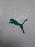 2024-25 Senegal Home Player Version Soccer Jersey (带星)