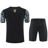 2025-26 Brazil Grey Training Short Suit