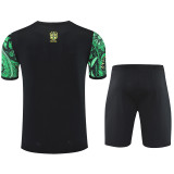 2025-26 Brazil Green Training Short Suit