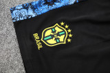 2025-26 Brazil Blue Training Short Suit