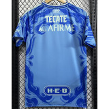 2025-26 Tigres UANL Away Fans Soccer Jersey