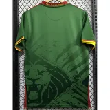 2025-26 Cameroon Home Fans Soccer Jersey