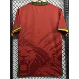 2025-26 Cameroon Away Fans Soccer Jersey