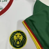 2025-26 Cameroon Third Fans Soccer Jersey