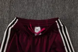 2025-26 Ajax Jujube red Polo Tracksuit #C2509