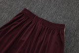 2025-26 Ajax Jujube red Training Short Suit #D2528