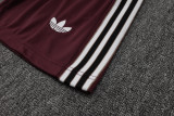 2025-26 Ajax Jujube red Training Short Suit #D2528