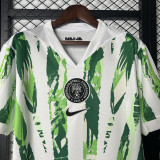 2025-26 Nigeria Home Fans Soccer Jersey