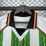 2025-26 Real Betis Green White Special Edition Fans Soccer Jersey
