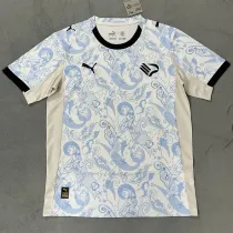 2025-26 Palermo Third Fans Soccer Jersey