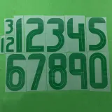 2025-26 Algeria White Player Version Training shirts (绿标)