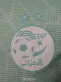 2025-26 Algeria Light green Player Version Training shirts (白标)