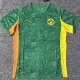 2025-26 Dortmund Special Edition Green Fas Soccer Jersey