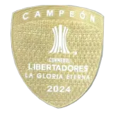 2025-26 Botafogo Black Special Edition Fans Soccer Jersey