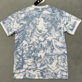 2024-25 Italy Grey White Special Edition Fans Soccer Jersey (Print Personalized AD)