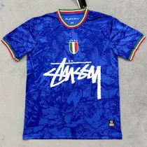2024-25 Italy Blue Special Edition Fans Soccer Jersey (Print Personalized AD)