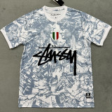 2024-25 Italy Grey White Special Edition Fans Soccer Jersey (Print Personalized AD)