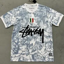 2024-25 Italy Grey White Special Edition Fans Soccer Jersey (Print Personalized AD)
