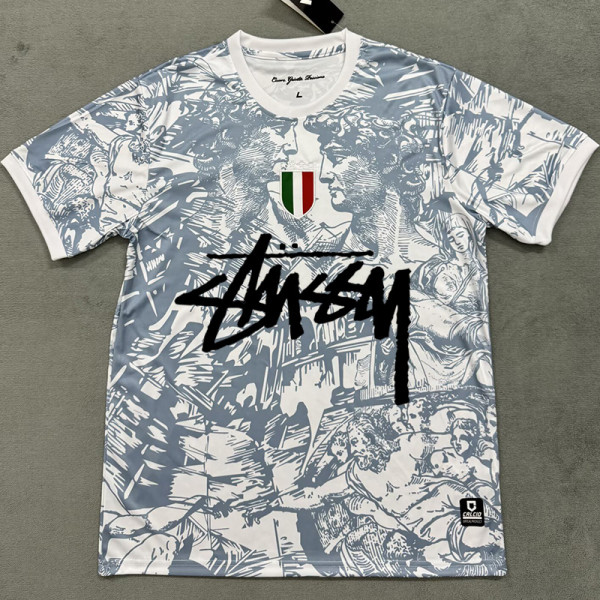 2024-25 Italy Grey White Special Edition Fans Soccer Jersey (Print Personalized AD)