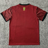 2025-26 Brazil Brown Red Special Edition Fans Soccer Jersey (黄标)