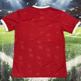 2025-26 ARS Red Special Edition Fans Training shirts (三叶)