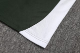 2025-26 Bayern Army green Short shirts and Long trousers Suit #C2533