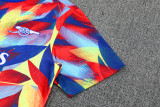 2025-26 ARS Red blue Training Short Suit