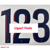 2024-25 PSG Away Have Stars Fans Soccer Jersey (前带星)