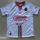2025-26 Chivas Guadalajara Away Fans Soccer Jersey