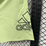 D701 AD Light green Casual Short Pants