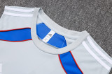 2025-26 Bayern Grey Tank top and shorts suit #D25114