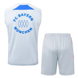 2025-26 Bayern Grey Tank top and shorts suit #D25114