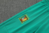 2025-26 Cameroon White Jacket Tracksuit