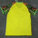 2025-26 Brazil Red Yellow Green Special Edition Training shirts