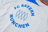 2025-26 Bayern Grey Short shirts and Long trousers Suit #C2547