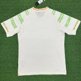 2025-26 Celtic Third Fans Soccer Jersey