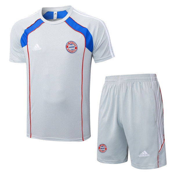 2025-26 Bayern Grey Training Short Suit #D25128
