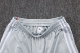 2025-26 Bayern Grey Training Short Suit #D25128
