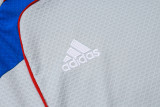 2025-26 Bayern Grey Training Short Suit #D25128