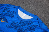 2025-26 France Fancy blue Training Short Suit #D25137