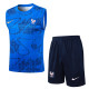 2025-26 France Fancy blue Tank top and shorts suit #D25136